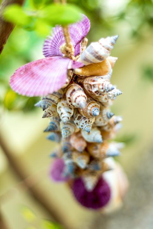 Chryssi Myhome Kato Daratso Buitenkant foto